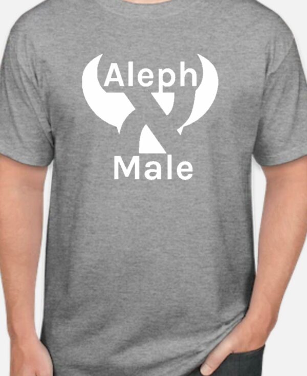 Alep male t-shirt